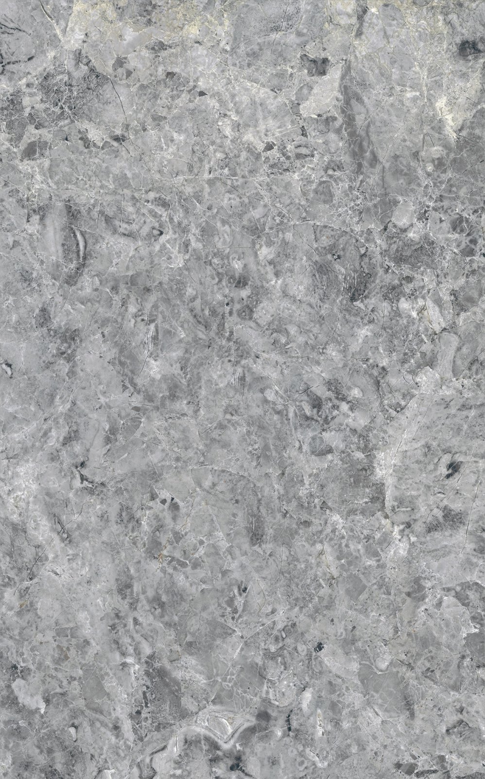 ASIA TILE 25X40 EVORA GREY